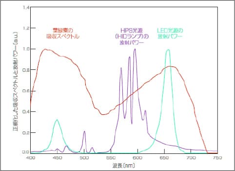 LEDは、HPS光源と比較し、葉緑素の吸収スペクトルが高い領域の波長を放射できる図