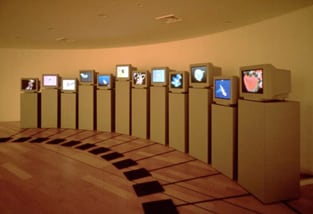 カール・シムズ《ガラパゴス》1997年　ICCコレクション
