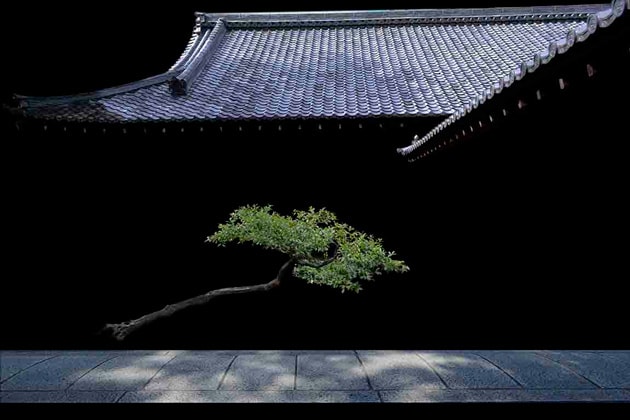 京都建仁寺に奉納した写真作品「静寂」