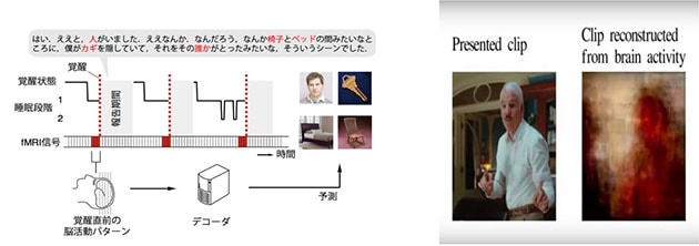 ヒトが何を見ているのか、脳から直接分かるようになってきた