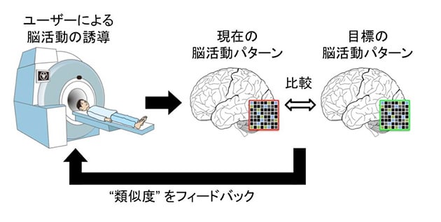 DecNefによって脳の状態を好ましい方向に導く手順