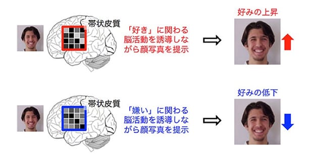 DecNefによる好みの顔を変える実験