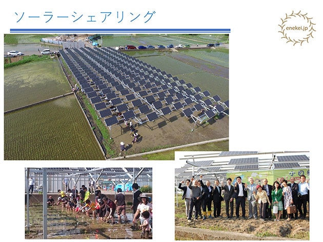 小田原市で進められている水田を利用した太陽光発電事業「ソーラーシェアリング」