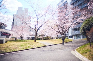 東京工業大学 情報理工学院