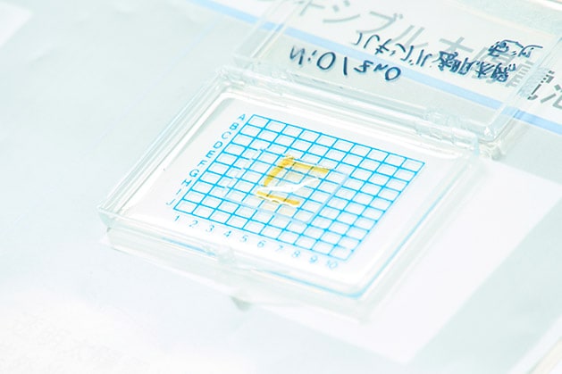 東京大学 物性理論研究室