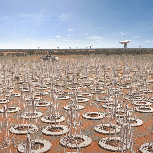 オーストラリアに建設されるSKA電波望遠鏡群の想像図