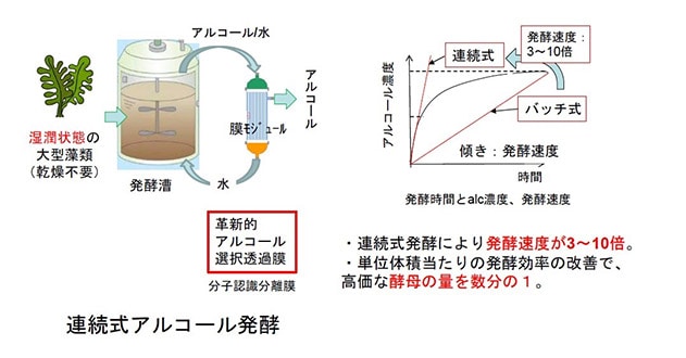 連続式アルコール発酵で、高効率にエタノールを生産