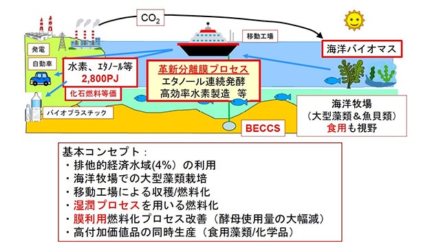 海洋バイオマスと分子認識分離膜を用いたエネルギーの創生