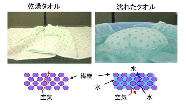 エタノール分子認識分離膜の原理の類似例