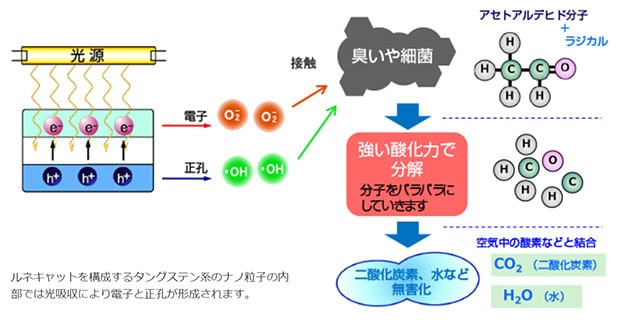 東芝マテリアルズの室内光でもウイルス不活性化の効果が得られる光触媒「ルネキャット」の原理