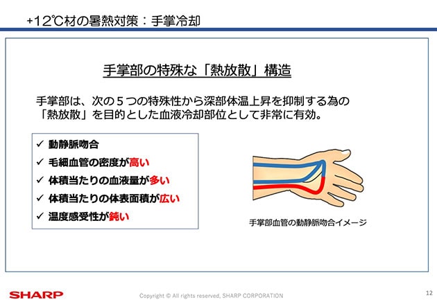 手の平を冷やす理由