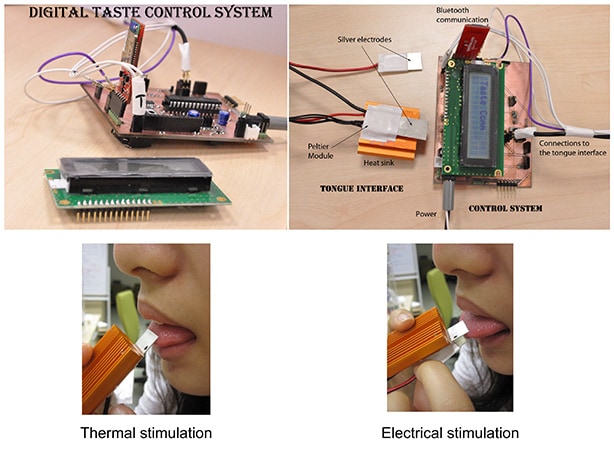 味覚を再現する装置