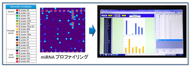 数十種類のmiRNAを同時検出