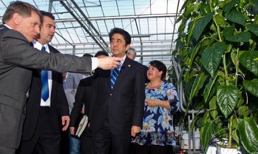 オランダの施設園芸拠点ウエストランドを視察した安倍首相