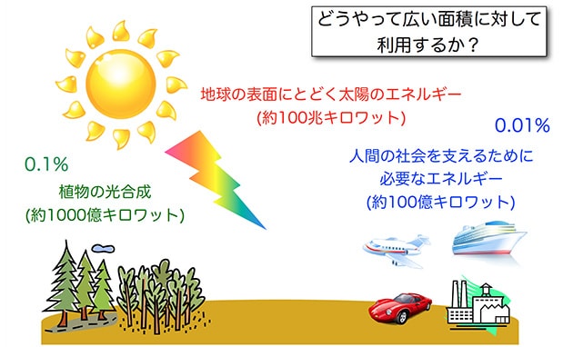 植物を模して、太陽のエネルギーを固定化