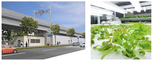 東京メトロが運営する高架下を利用した植物工場