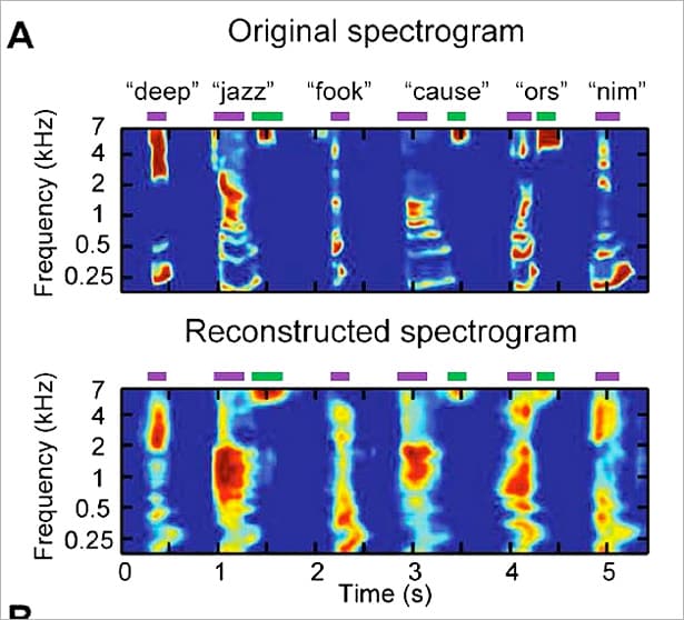 実際の音（上）と脳波を元に再生した音（下）のスペクトグラム