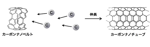 カーボンナノチューブ