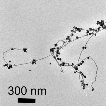 水滴を使った新たなプロセスによって作成された、金のナノ粒子とナノワイヤ