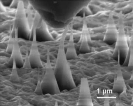 水滴を使った新たなプロセスによって作成された、金のナノ粒子とナノワイヤ