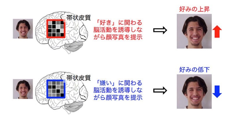 ecNefによる好みの顔を変える実験