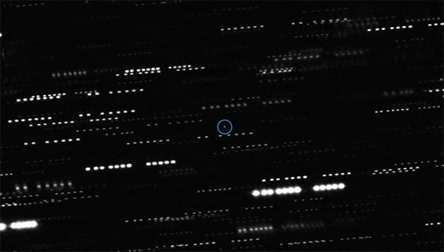 地上から観測したオウムアムア（画像中央にある青い丸の中の点）