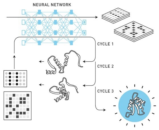 AIによるタンパク質解析技術がノーベル化学賞に