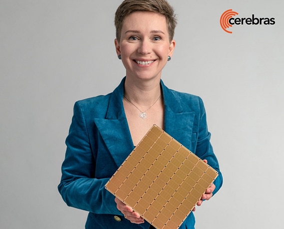 Cerebrasが開発したウェーハレベルIC