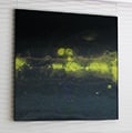 PHOTON: INVISIBLE UNIVERSE