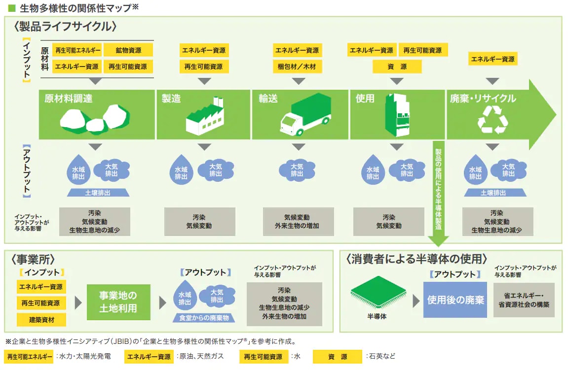 原材料調達、製造、輸送、使用、廃棄・リサイクルの製品ライフサイクルの中で再生可能エネルギー、エネルギー資源、再生可能資源、資源などのインプットを行い、また、そのサイクルの中で水域排出、大気排出、土壌排出などのアウトプットを行います。その結果、汚染、大気変動や生物生息地の減少といった影響があります。この関係性を生物多様性の関係性マップといいます。